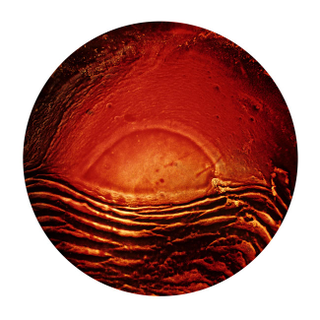 Illustration for article titled These Gorgeous Photos Show Whisky As You've Never Seen It Before